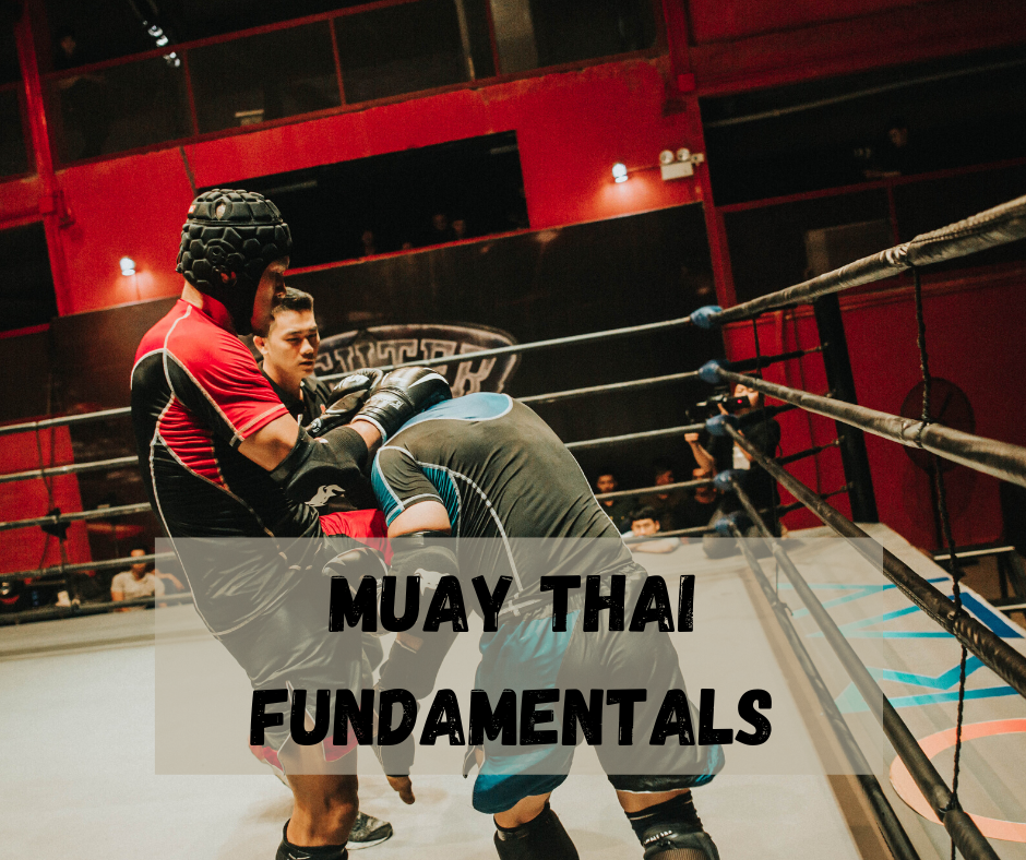 Muay Thai Basic Techniques (3)