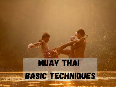 Muay Thai Basic Techniques